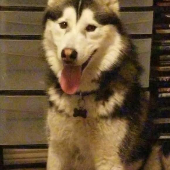 Meet your Posher, Michael - Picture 1 of 1